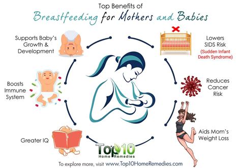 brest feeding xx|Breastfeeding and sex: five surprising facts .